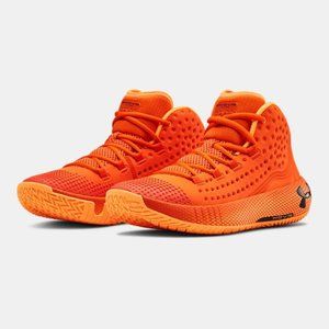 Under Armour Mens UA HOVR Havoc 2 Basketball Shoes